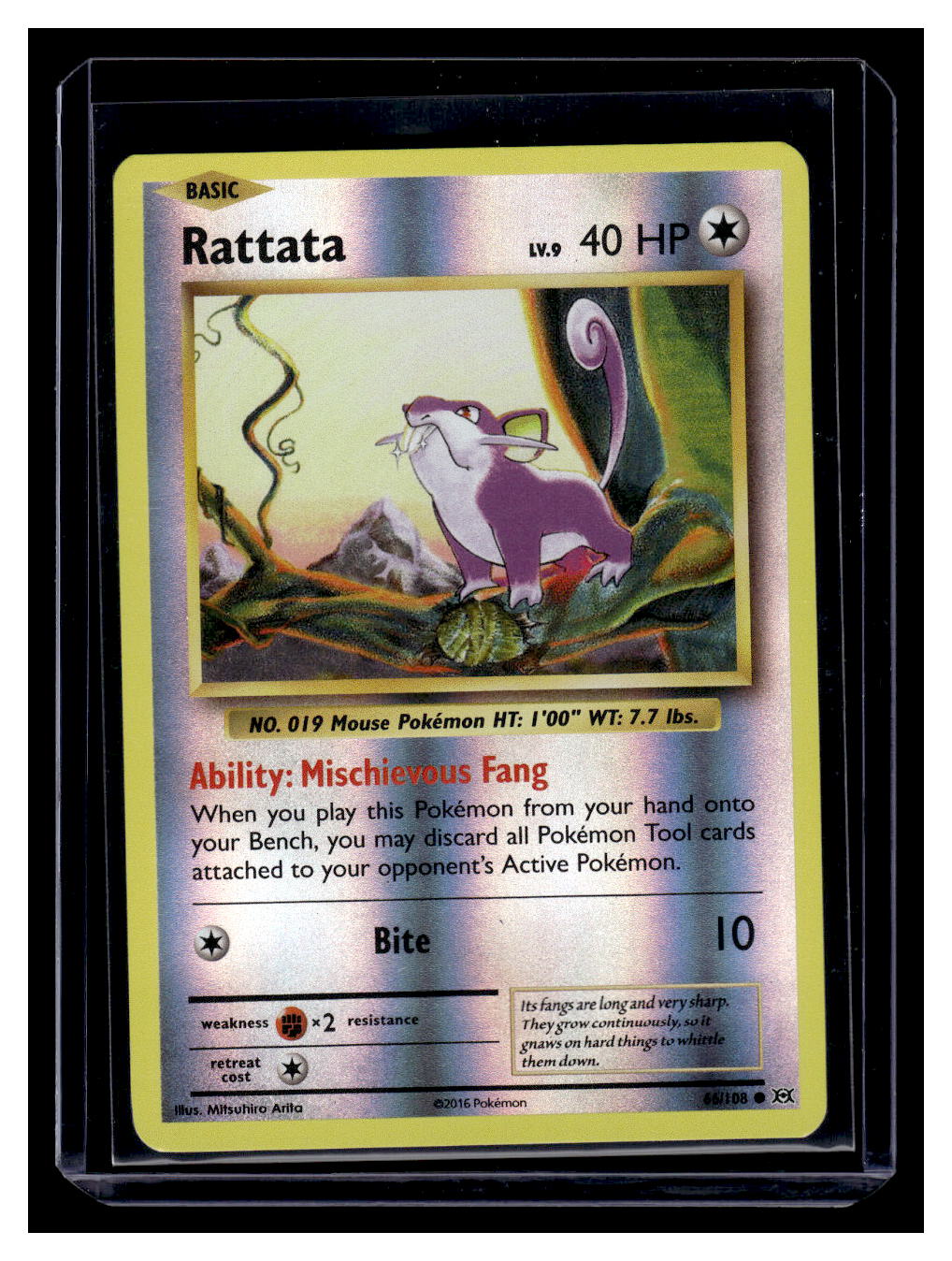 2016 Pokemon Evolutions Reverse Holo Rattata #66 Sportscard Superstore 2016 Pokemon Evolutions Reverse Holo Rattata #66 Sportscard Superstore