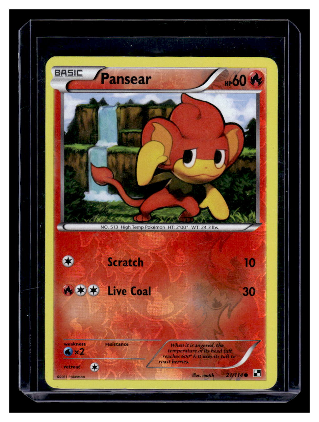 2011 Pokemon Black & White Reverse Holo Pansear #21 Sportscard Superstore 2011 Pokemon Black & White Reverse Holo Pansear #21 Sportscard Superstore